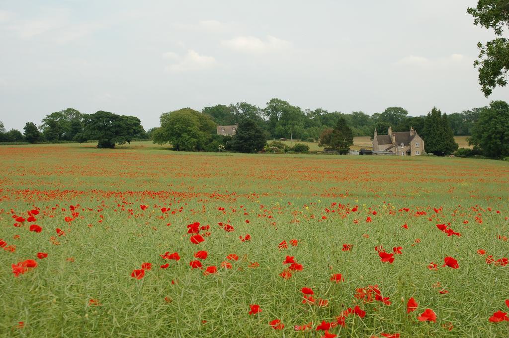 Woodland Guesthouse Stow-on-the-Wold Exteriör bild